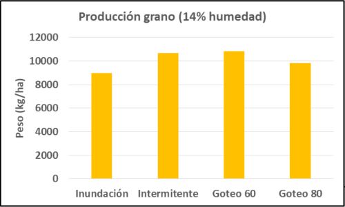 resultadospreliminares